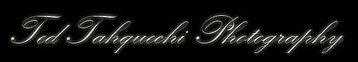 Tahquechi Photography